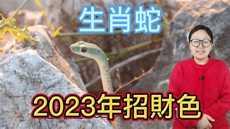 屬蛇適合的顏色|【屬蛇適合什麼顏色】屬蛇適合什麼好兆頭顏色？讓你旺運致富終。